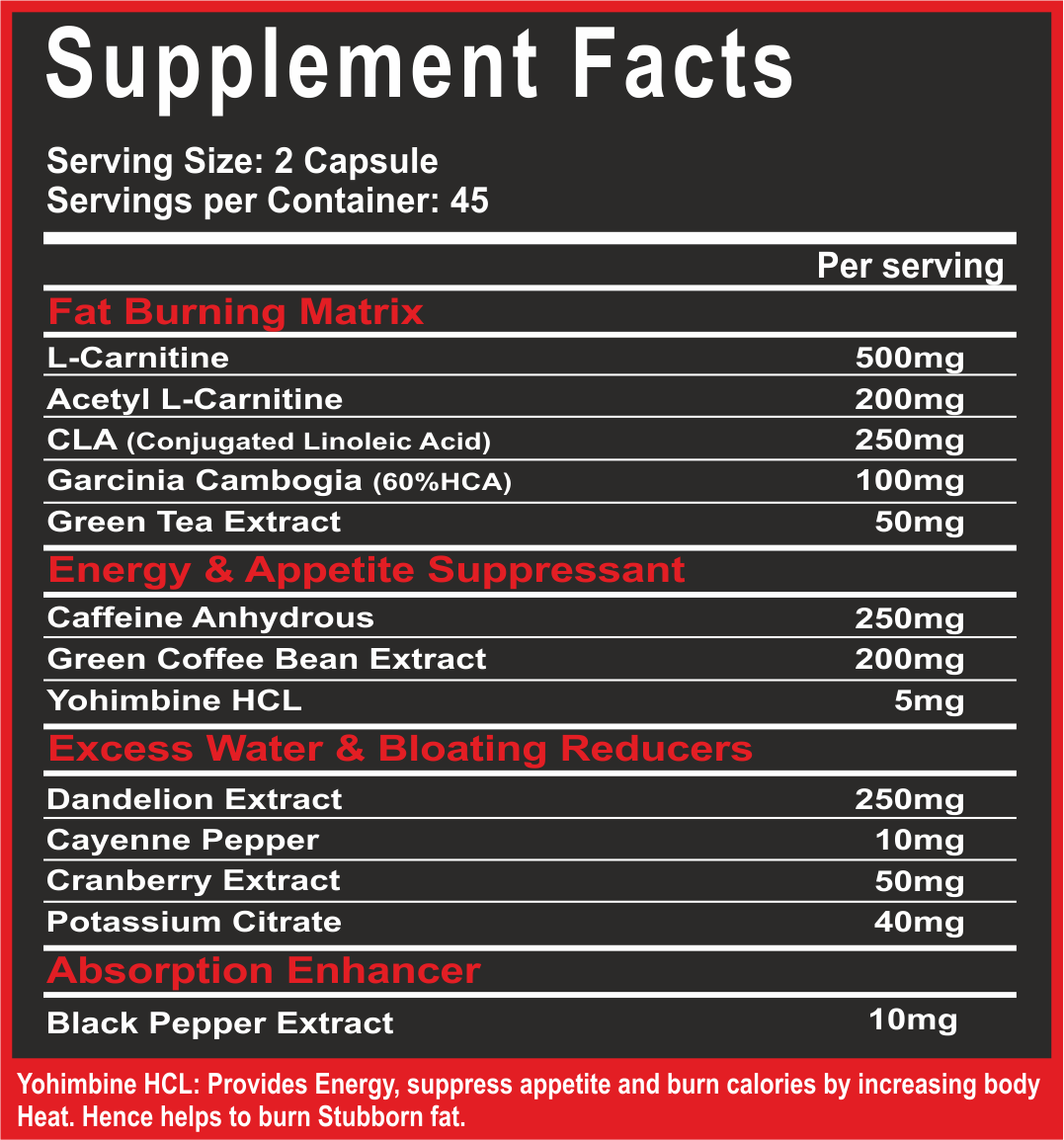BURNOUT FAT-BURNER